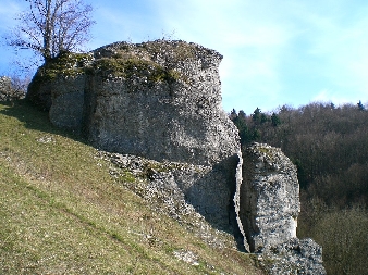 Eulenwand