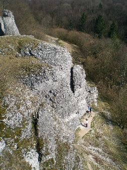 Eulenwand