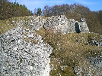 Eulenwand