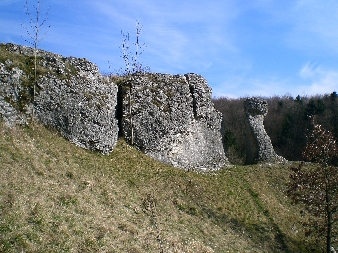 Eulenwand